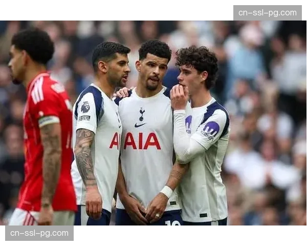 保级区形势胶着 热刺30分跌入降级区伯恩利狼队垫底